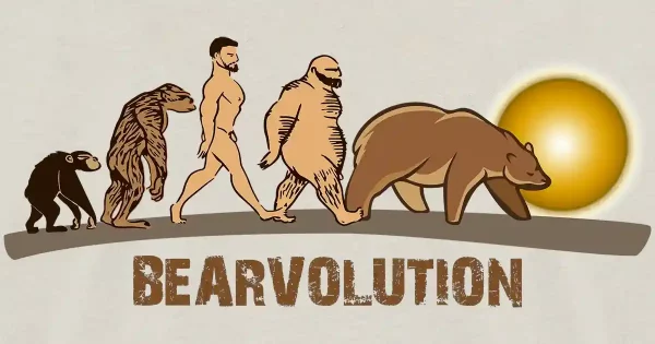 Bearvolution: qué es y por qué la evolución no terminó en el hombre 2 Bearvolution sol dorado