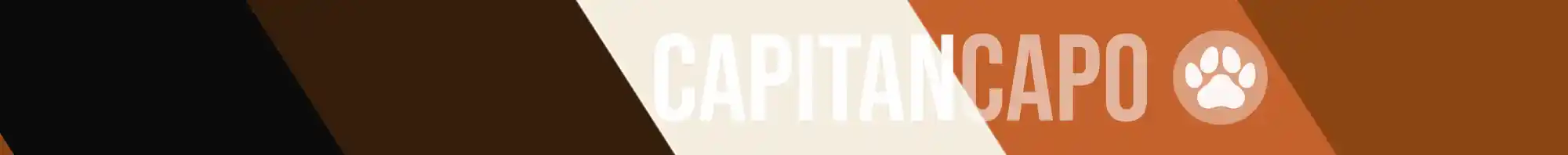 Nosotros capitancapo barra